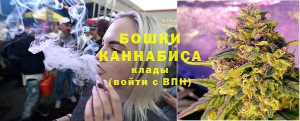 гашик Покровск