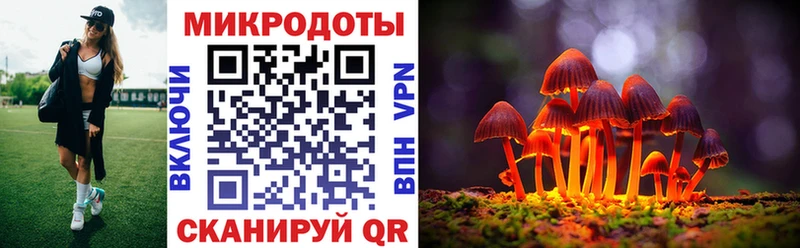 Псилоцибиновые грибы Psilocybine cubensis Отрадный