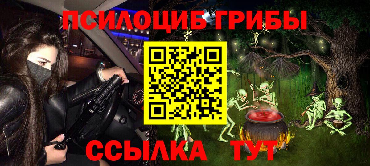 Отрадный  где купить   Псилоцибиновые грибы прущие грибы  Вход с VPN  Псилоцибиновые грибы MAGIC MUSHROOMS 