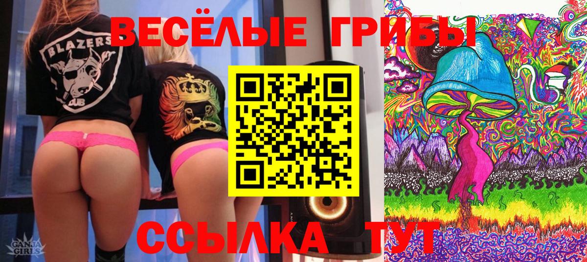 Псилоцибиновые грибы Cubensis Отрадный