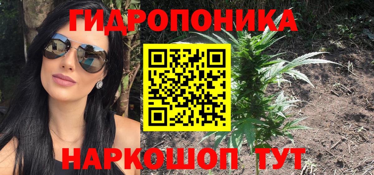 Бошки марихуана Ganja Отрадный